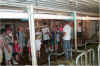 farm11.jpg (65038 bytes)
